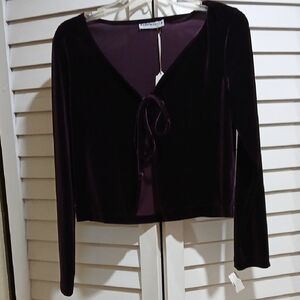 Rampage Deep Purple Velvet Blouse